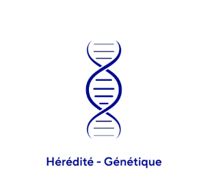 Arthrose et hérédité