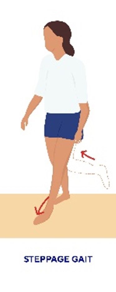 Picture2.jpg