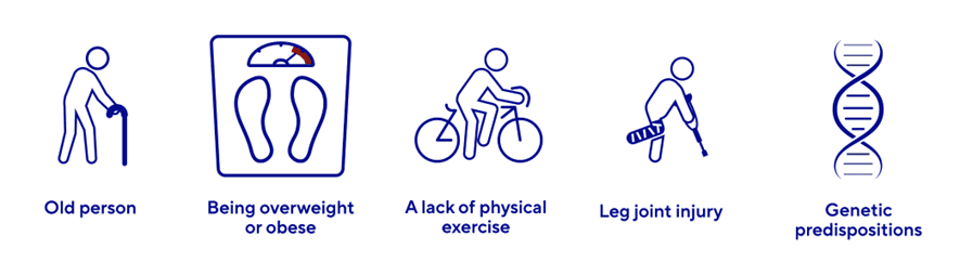 causes-of-the-knee-osteoarthritis.png