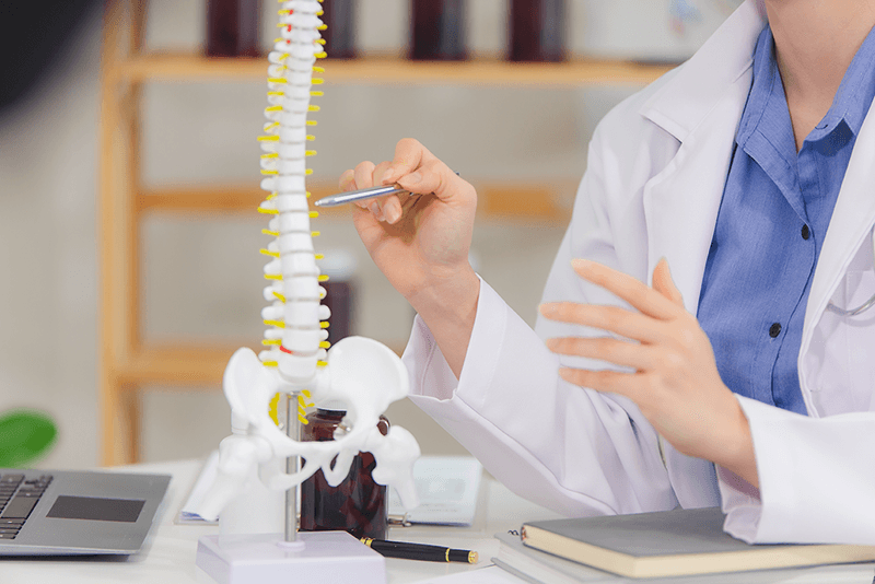 colonne_vertebrale.png