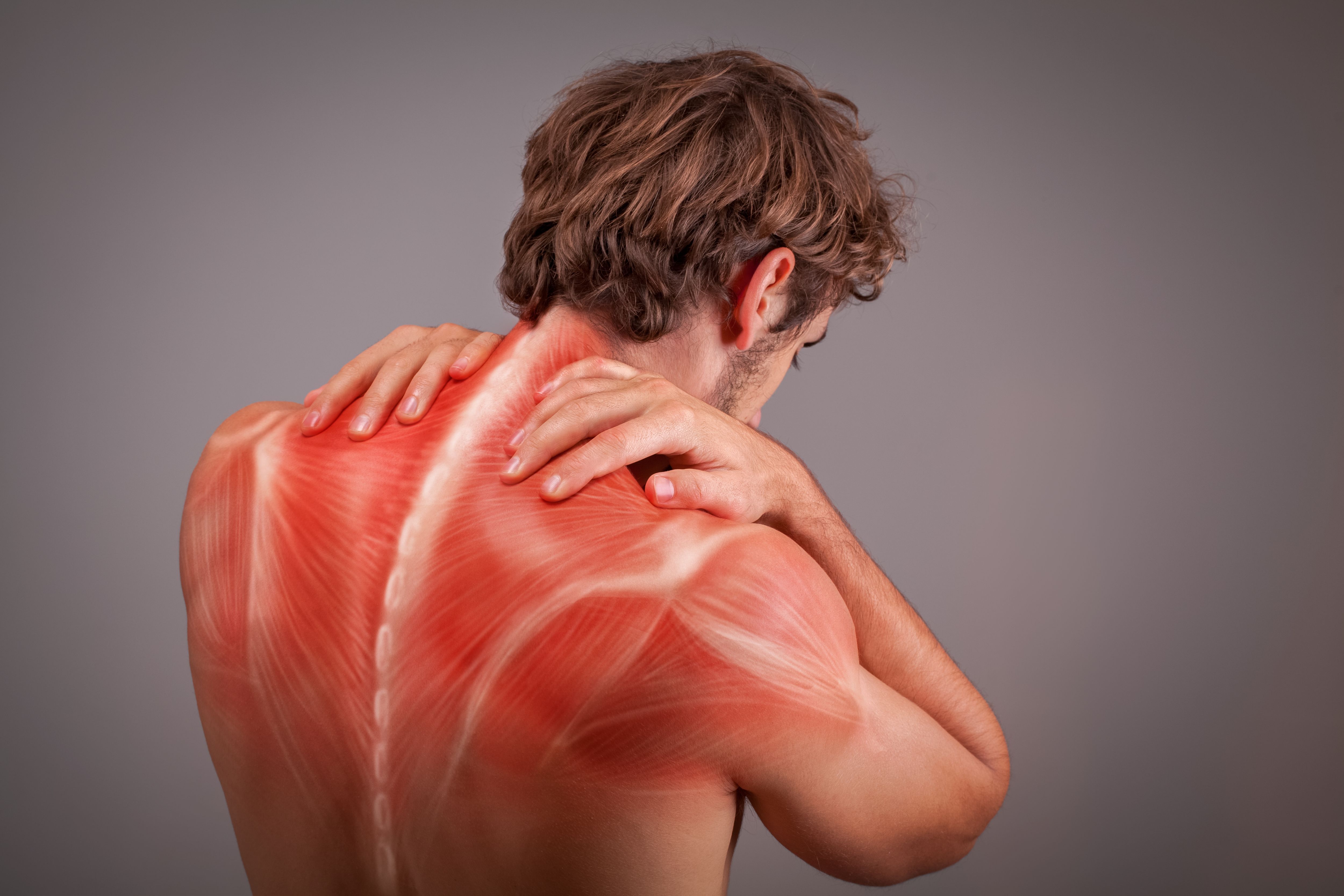 muscular problems back pain 